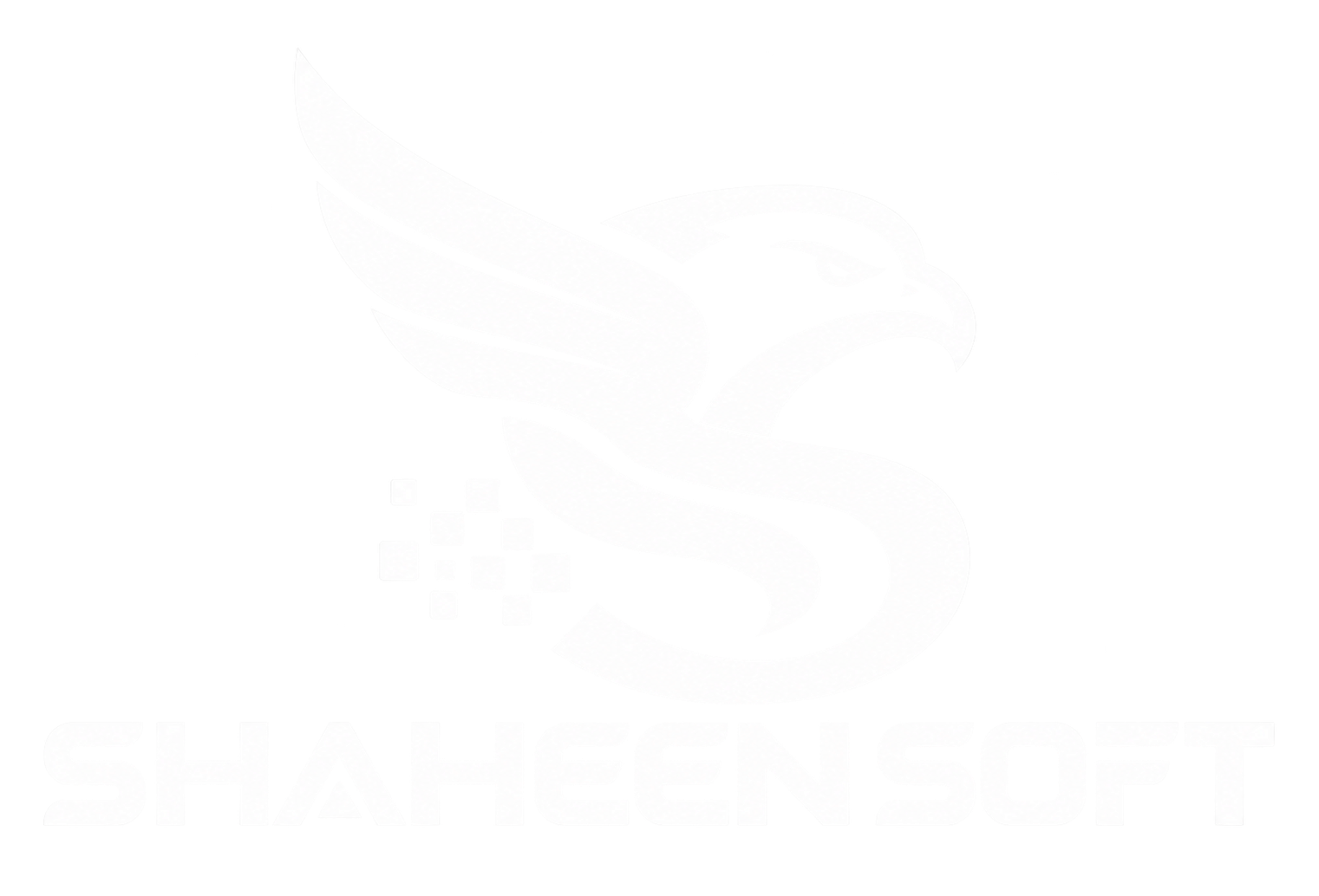 Shaheen Software and Web Solutions